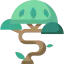 Bonsai icon 64x64
