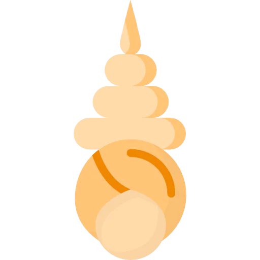 Seashell icon