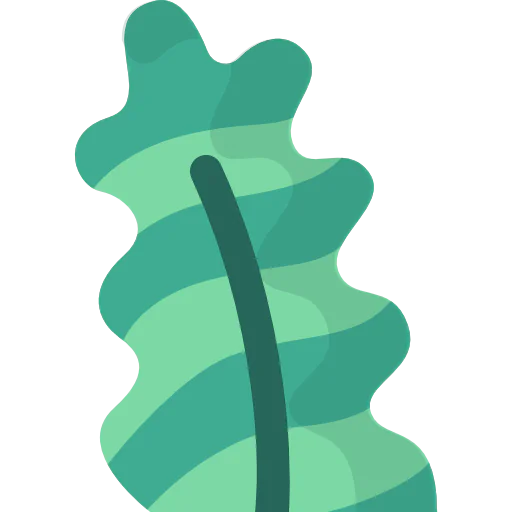 Leaf icon