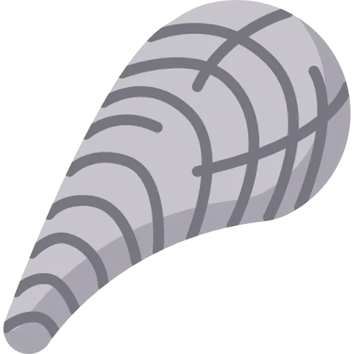 Seashell icon