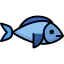 Fish icon 64x64