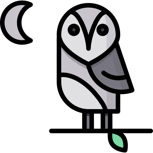 Owl icon
