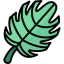 Leaf icon 64x64