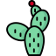 Cactus icon 64x64
