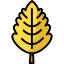 Leaf icon 64x64