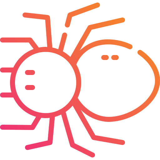 Spider icon