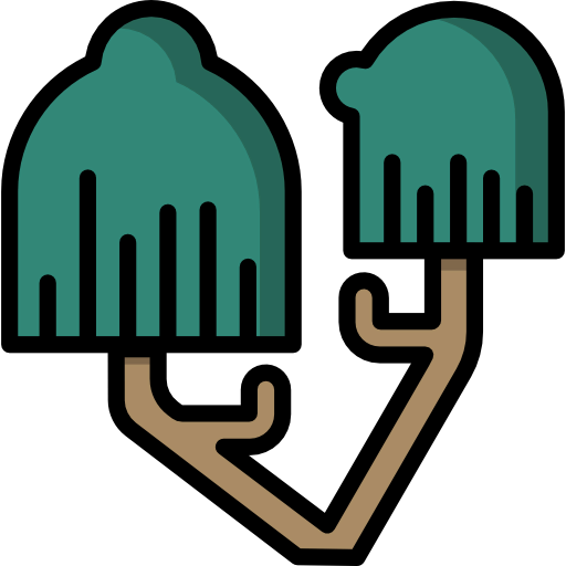 Willow icon