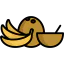 Coconut icon 64x64
