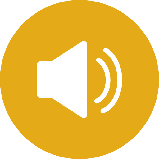 Speaker icon