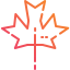 Maple leaf icon 64x64