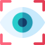 Eye recognition icône 64x64
