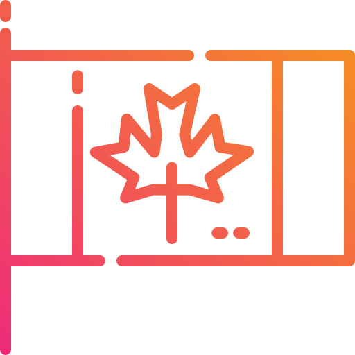 Flag icon