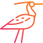 Bird icon 64x64