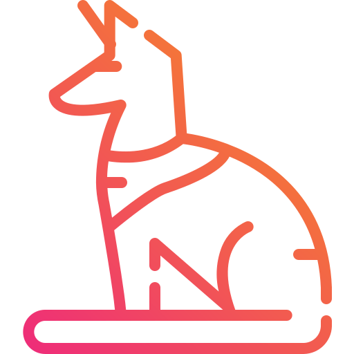 Cat icon