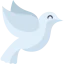 Dove icon 64x64