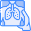 X ray icon 64x64