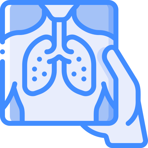 X ray icon