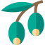 Olive icon 64x64