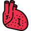 Heart icon 64x64