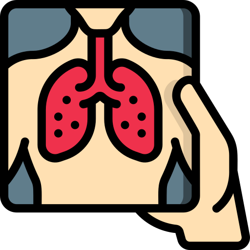 X ray icon