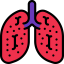 Lung cancer icon 64x64