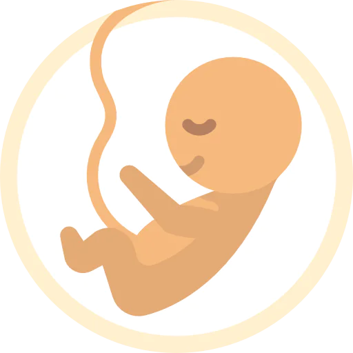 Embryo icon