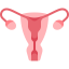 Uterus icon 64x64