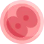 Ovum icon 64x64