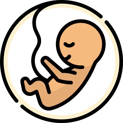 Embryo icon