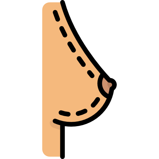 Breast icon