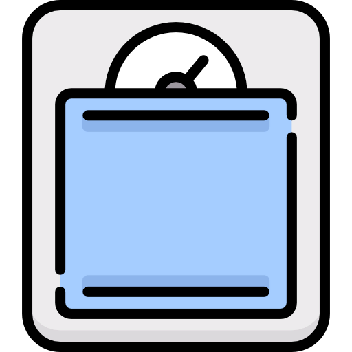Scale icon
