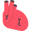 Heart icon 64x64