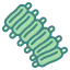 Ribs icon 64x64