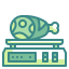 Scale icon 64x64