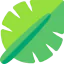 Leaf icon 64x64