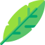 Leaf icon 64x64