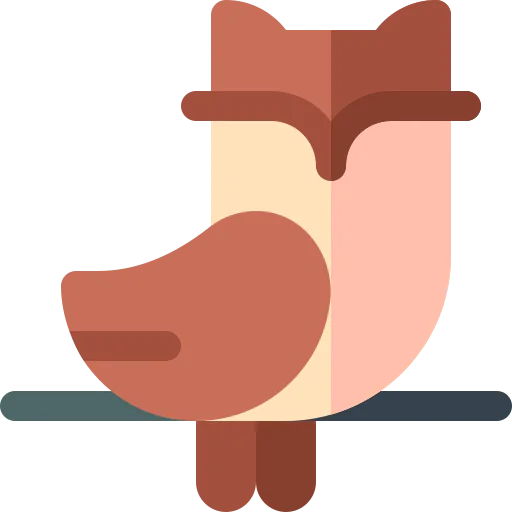 Owl icon