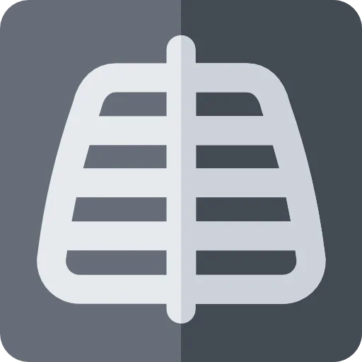 X rays icon