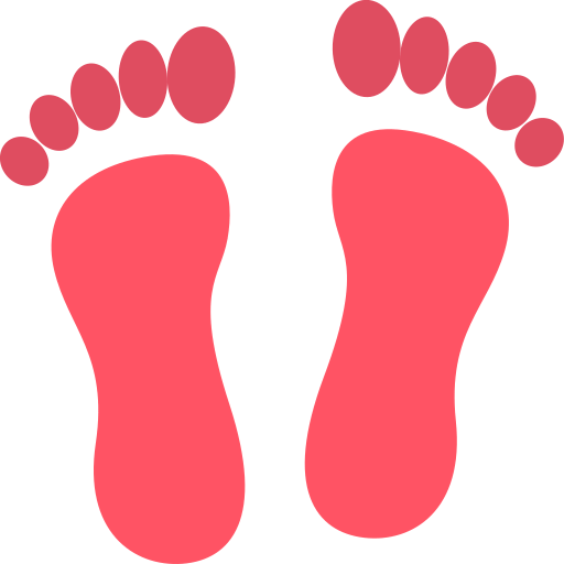 Footprints icon