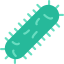 Bacteria icon 64x64