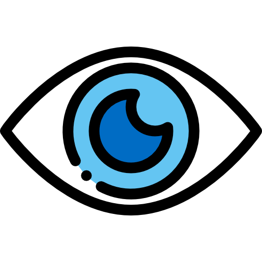 Vision icon