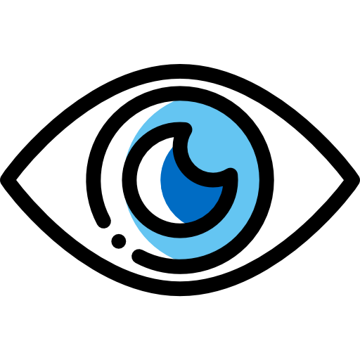 Vision icon