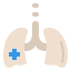 Lungs icon 64x64
