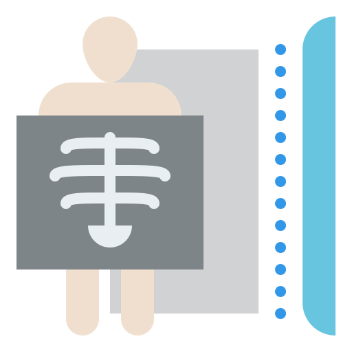 X ray icon