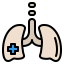 Lungs icon 64x64