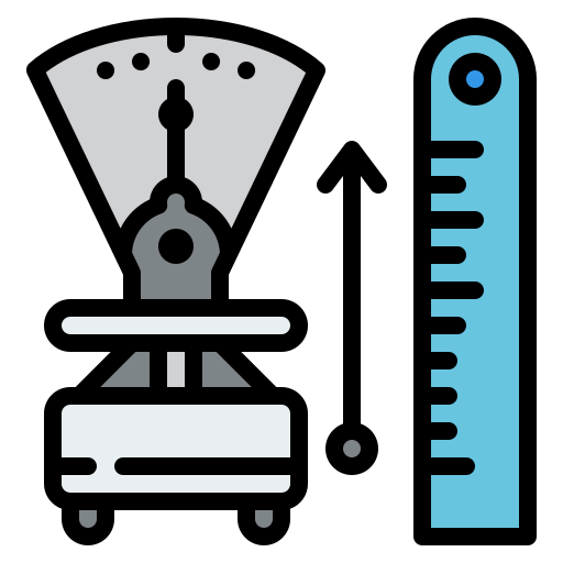 Measurement icon