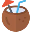 Coconut icon 64x64