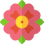 Flower icon 64x64
