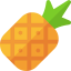 Pineapple icon 64x64