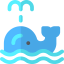 Whale icon 64x64